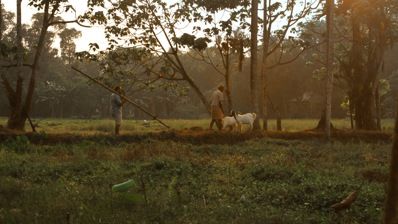 ‘Alkaline’: A Tender Portrait of Father-Son Bonds and Solitude in God’s Own Country