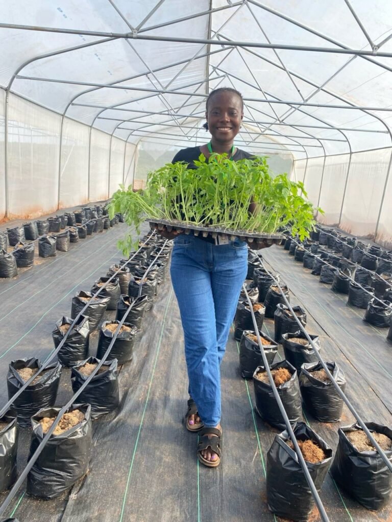 A woman smiles while holding a tray of seedlings in a greenhouse filled with black bags of soil.