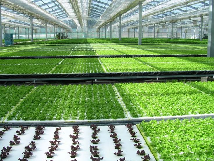 South African entrepreneur brings generational wisdom of ‘healing the land’ to Oman with massive vertical farming venture 