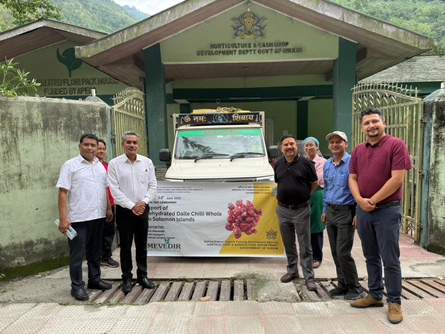 Sikkim’s Fire: How India’s Smallest State Exports Its Hottest Crop to the South Pacific