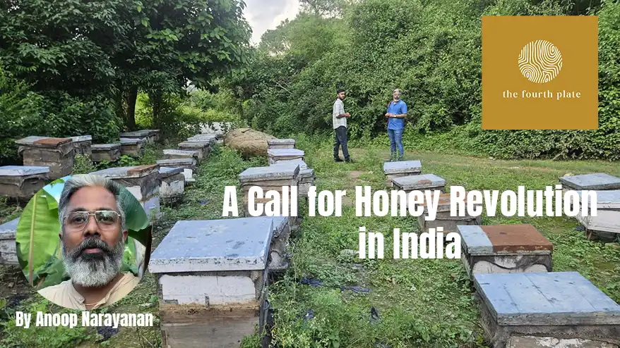 The Hidden Crisis in India’s Sweet Gold: A Call for Honey Revolution 