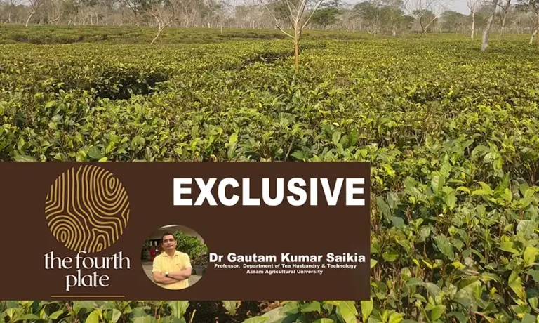 For centuries, the hills of Assam nurtured one of humanity’s most remarkable plants: Tea. The indigenous peoples of this region didn’t need to “discover” tea: they lived with it, understood it and developed methods for its use. This is not a story that begins with European arrival, but one that was violently interrupted by it.