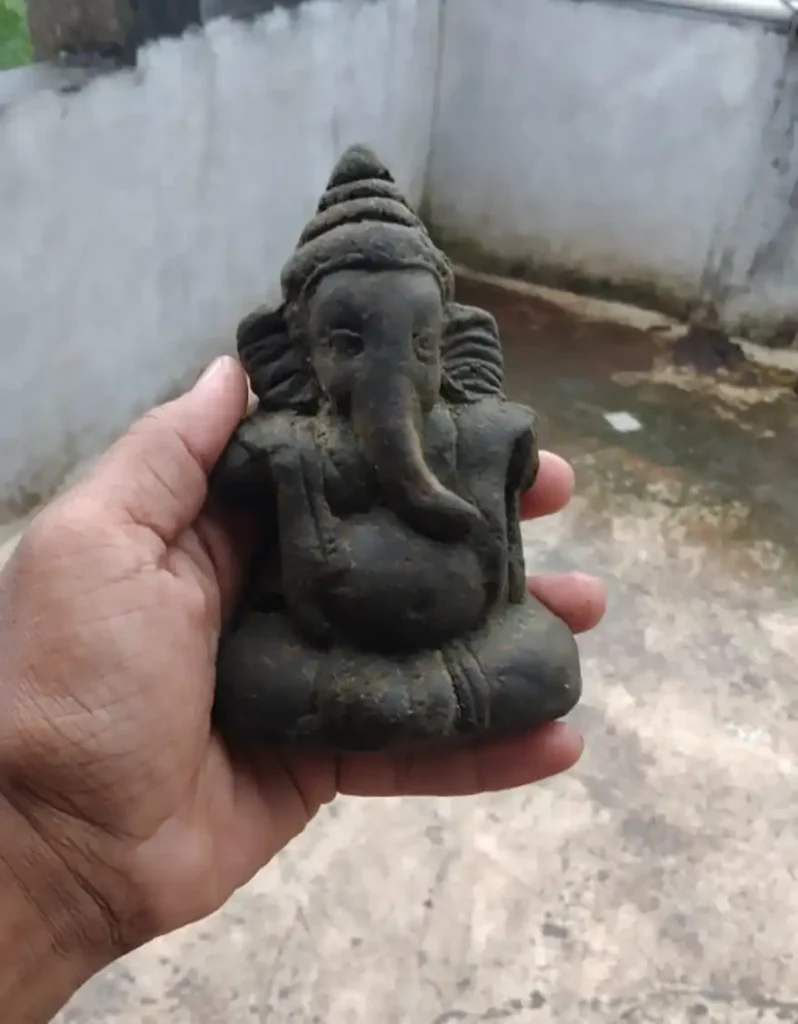 A person holding a biodegradable Ganesh idol made from moringa pod fiber, set against a concrete background.In a small workshop in Jaisinghpur near Kolhapur, a breakthrough is taking shape. Under the guidance of organic moringa farmer S. Umesh Rao, a team of eco-concious innovators, led by Roshini Salati, International Specialist at Quality Power Electrical Equipments Pvt Ltd, has successfully created what environmentalists have dreamed of: a fully biodegradable Ganesh idol that dissolves completely in water while nourishing aquatic life.
