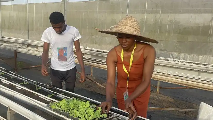My name is Marvelous Onuoha. I’m a graduate of the Department of Fisheries from the University of Agriculture. To be honest, I never wanted to study Fisheries or anything related to agriculture because back in primary and secondary school, we were conditioned to believe that agriculture was a poor man’s profession. Because of that mindset, I had no interest in the field.