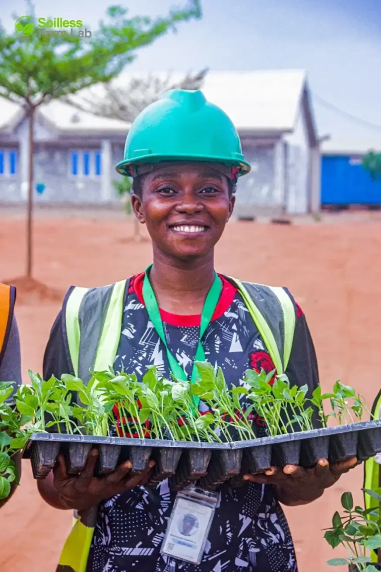 My name is Marvelous Onuoha. I’m a graduate of the Department of Fisheries from the University of Agriculture. To be honest, I never wanted to study Fisheries or anything related to agriculture because back in primary and secondary school, we were conditioned to believe that agriculture was a poor man’s profession. Because of that mindset, I had no interest in the field.