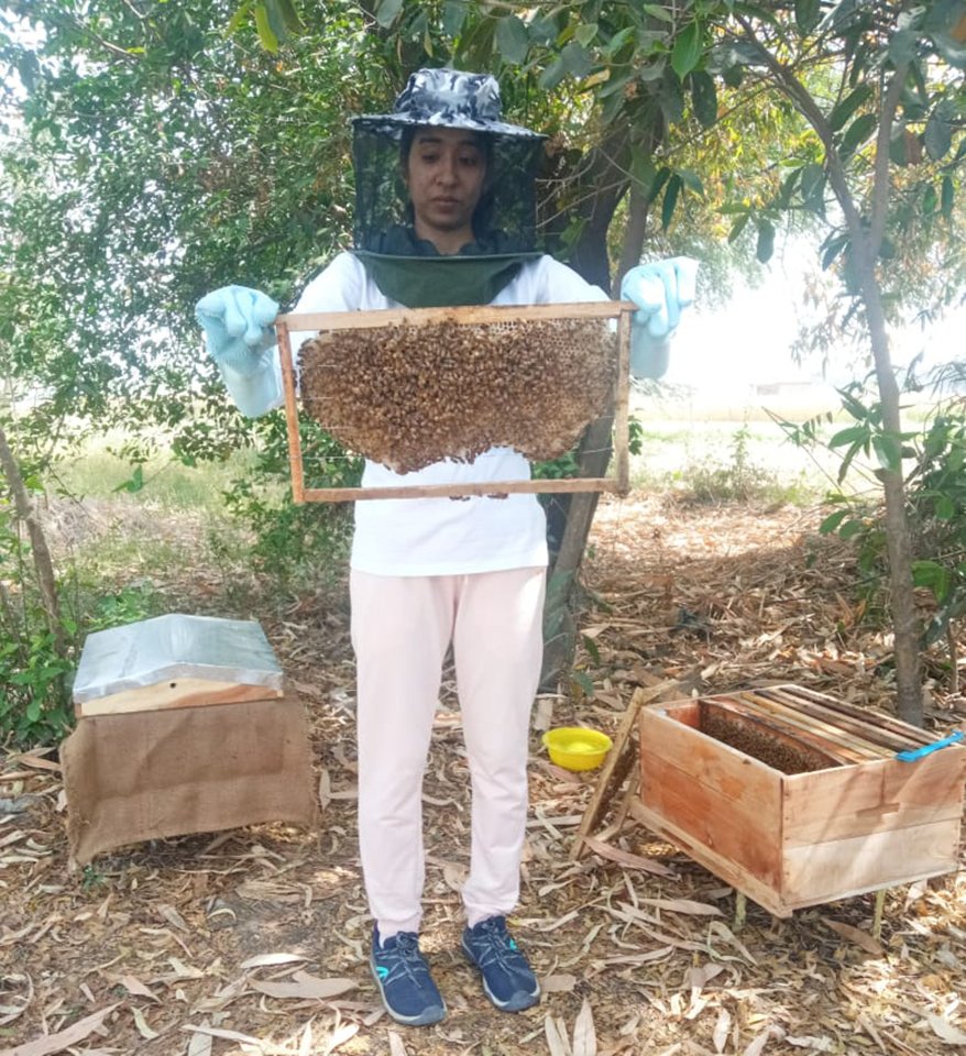 In a quiet part of Prayagraj in India, during the stillness of the COVID-19 lockdown, something beautiful took root. While the world slowed down, Jasleen, founder of Melflora - a trained chef with a deep love for clean, real food - began exploring something new: bees.