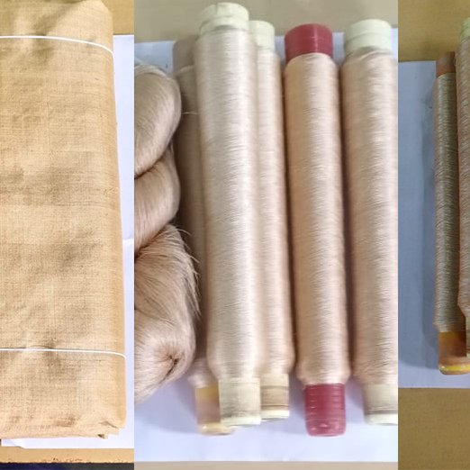 A collection of muga silk threads and a bundle of raw muga silk, showcasing the distinctive golden hue and texture of this premium fabric.