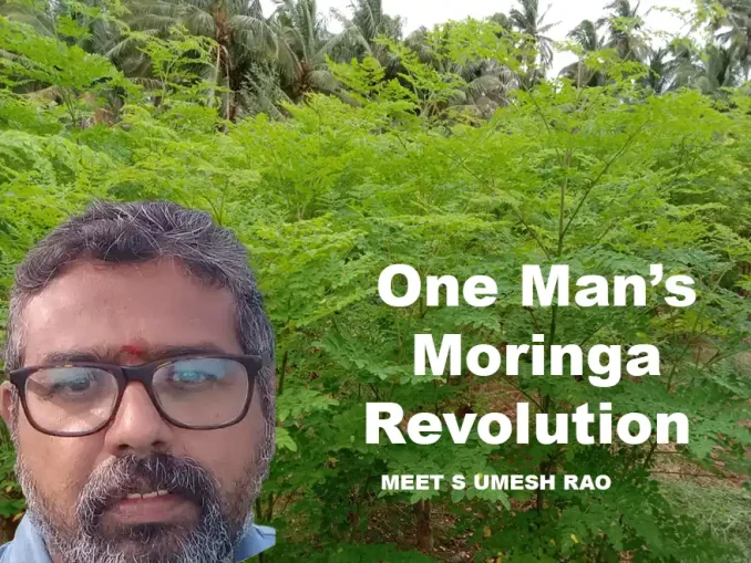 Moringa Rising: Where Abandoned Fields Find New Ways for Healthy Living Thanks to S. Umesh Rao, a farmer in Karnataka