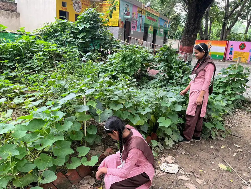 Two schoolgirls tending to a lush garden filled with various green plants, with colorful school buildings visible in the background.