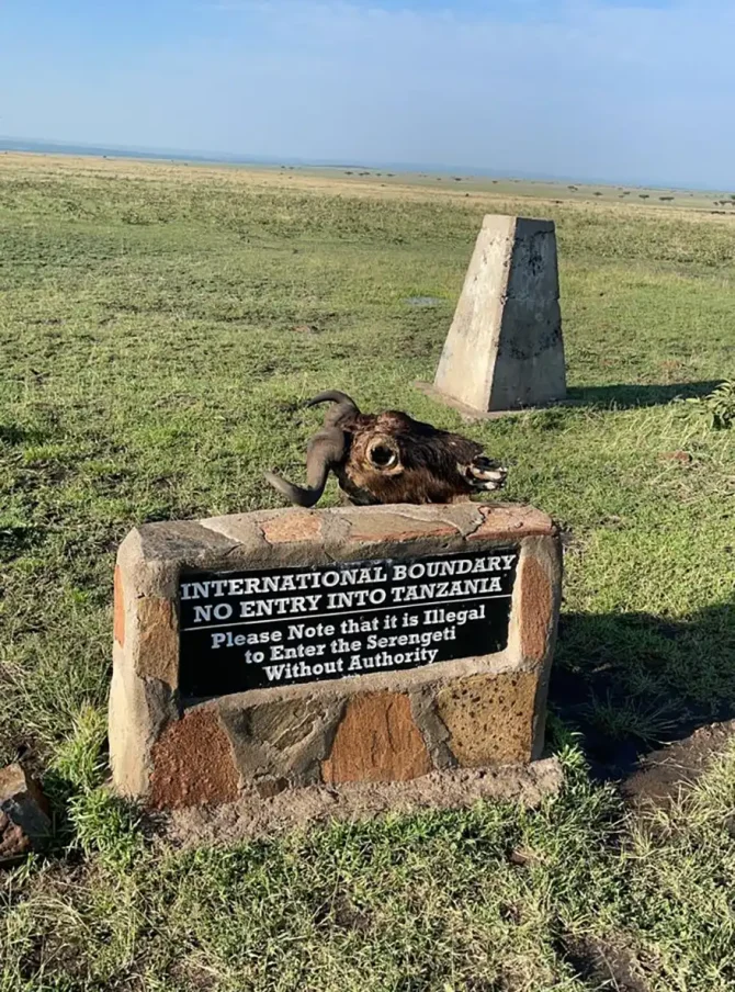 Saving Nature’s Greatest Show: How East Africa’s Communities Are Protecting the Great Migration