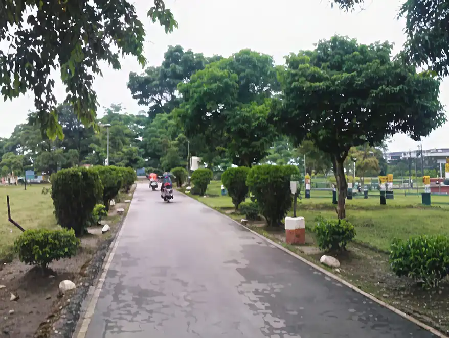 A paved road surrounded by neatly trimmed hedges and tall trees, with a few vehicles traveling in the distance.