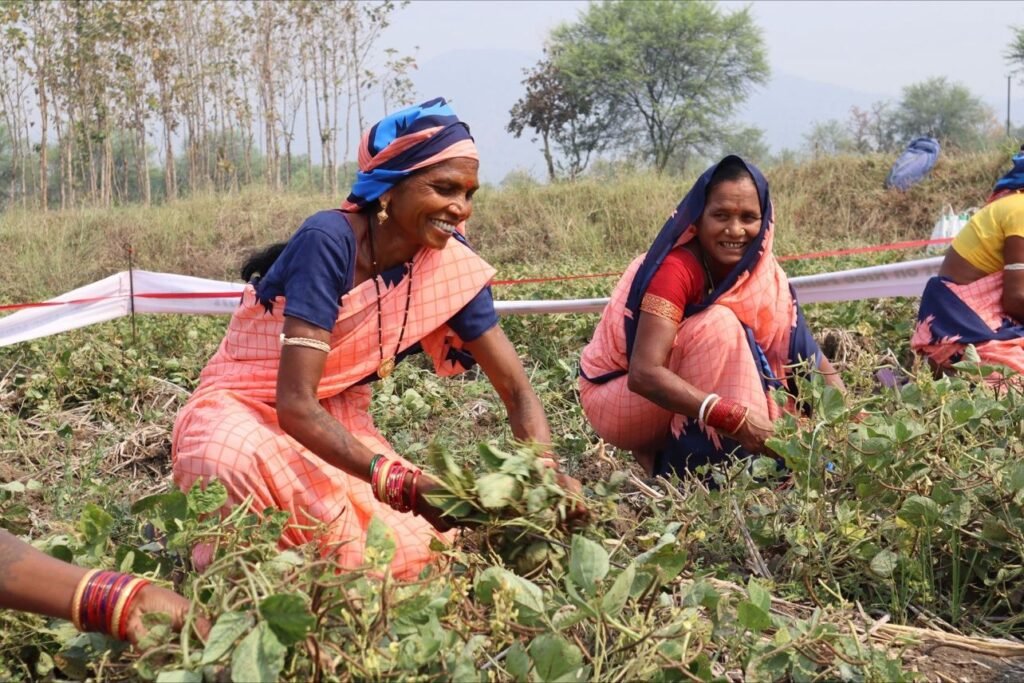 Women farmers smiling and harvesting crops in a field, dressed in traditional attire.