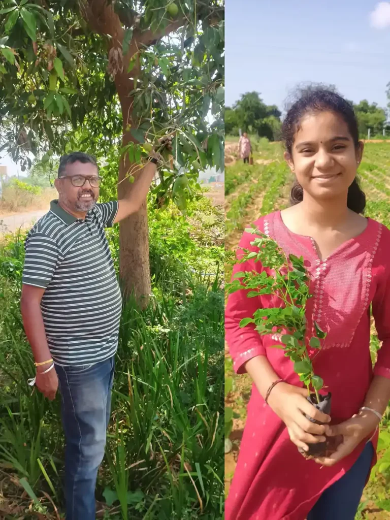 Moringa Rising: Where Abandoned Fields Find New Ways for Healthy Living Thanks to S. Umesh Rao, a farmer in Karnataka