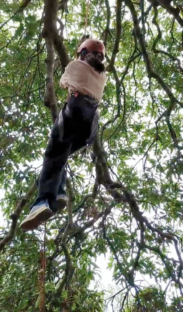 ature teaches us lessons in many ways. And they are often more profound than the academic lessons.
That is what our class at IIBS learnt by embarking on the Adventurous Learning Programme (ALP) in Ramnagar, Karnataka.