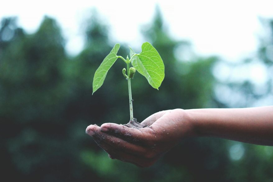 MOCCAE Launches MUSTADEEM for developing and empowering youth in the fields of environment and sustainability in the UAE