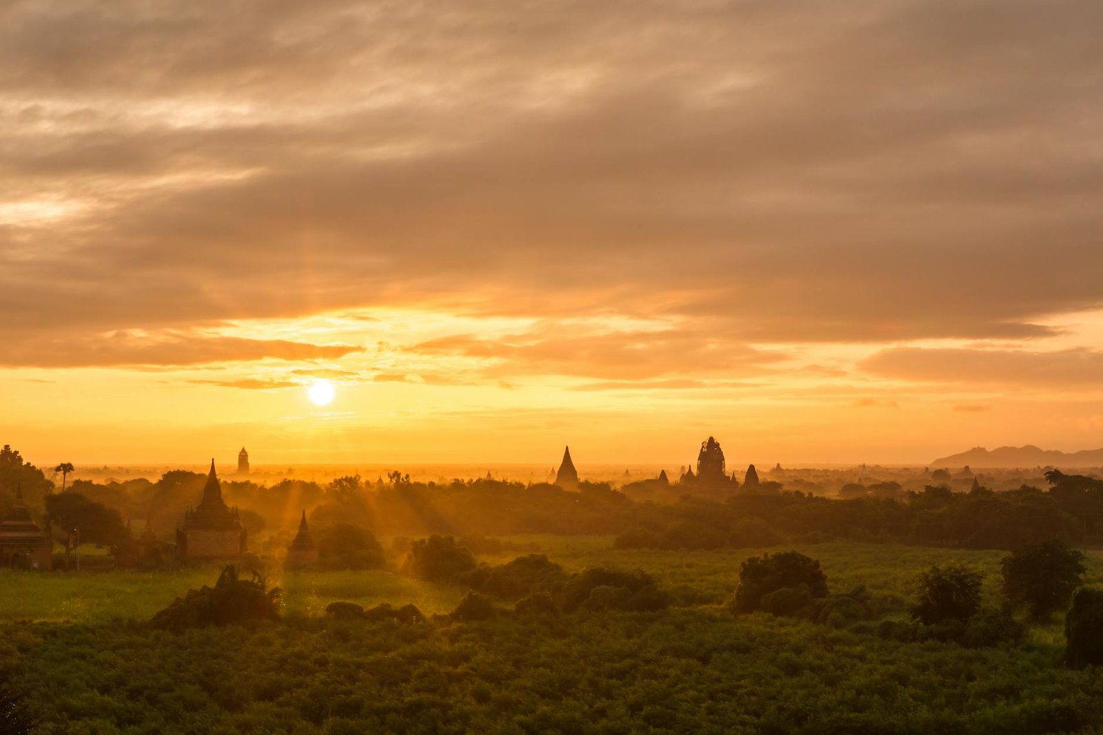 silhouette of trees during sunrise