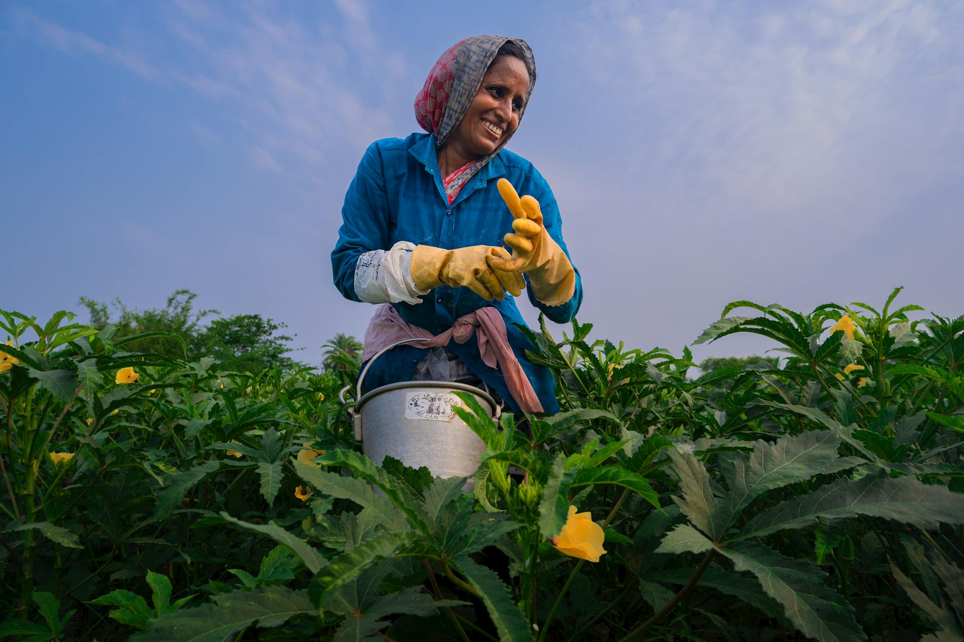 India at crossroads: The looming agricultural crisis