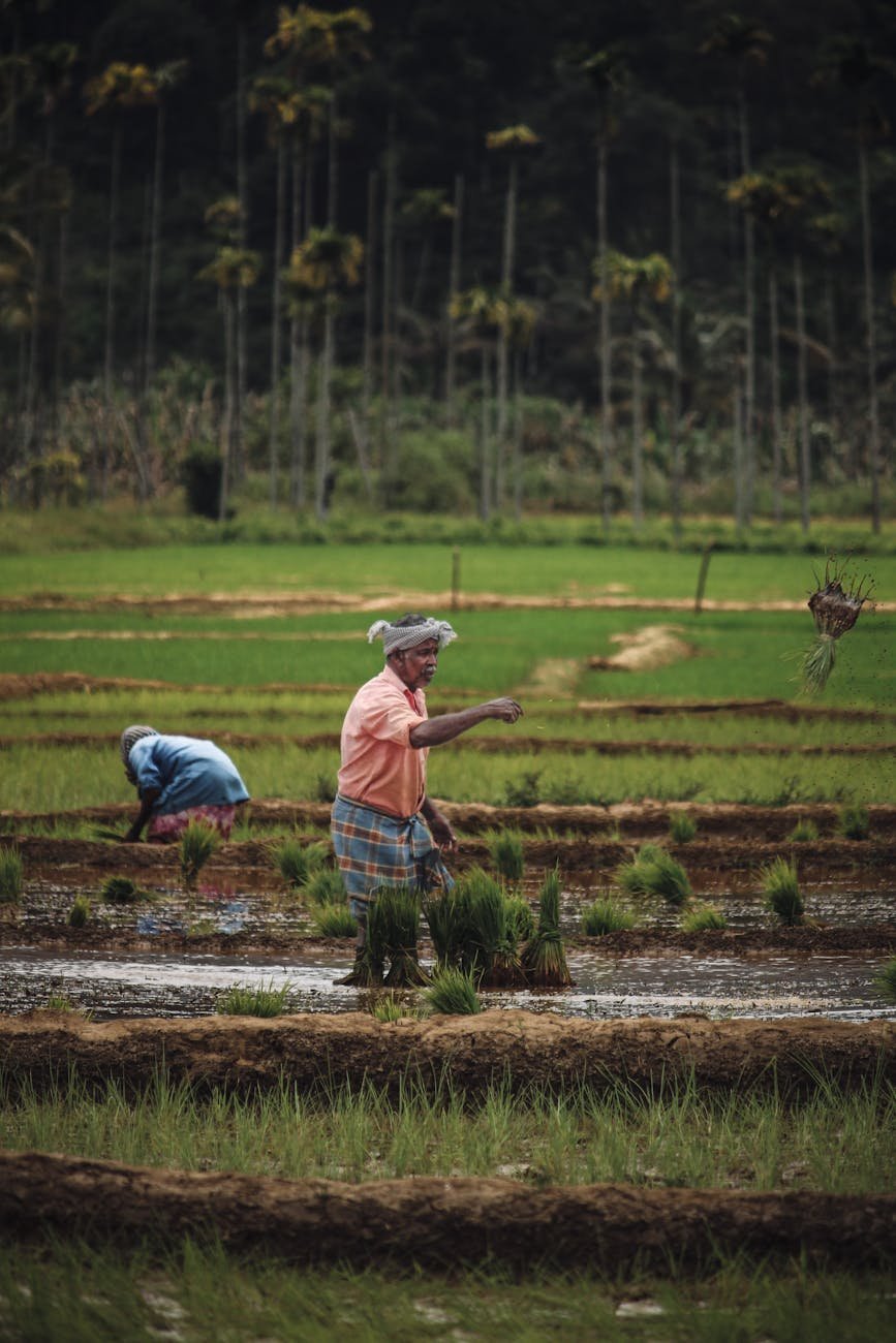 man standing on rural field