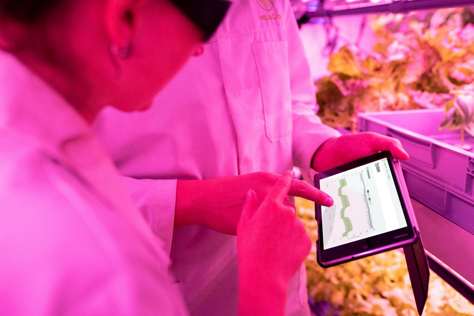 scientists checking data