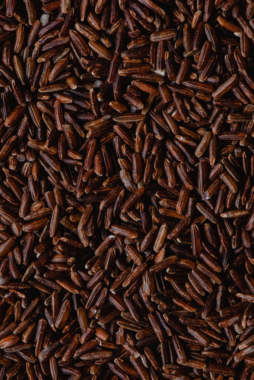 close up shot red rice grains