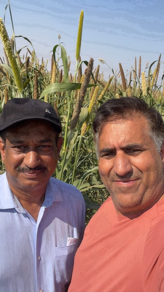 Two men taking a selfie in a field of tall millet plants under a clear blue sky.
