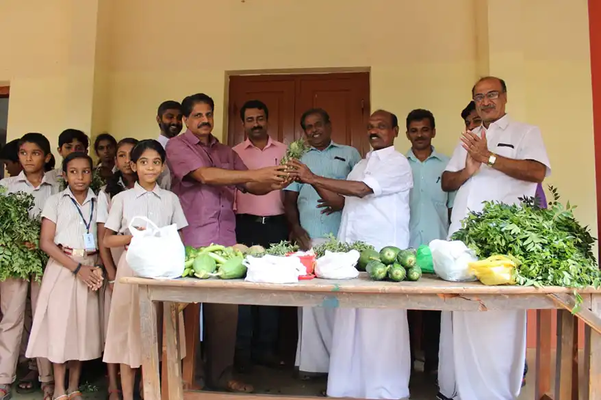 Remember those clay piggy banks that once taught children the value of saving? In Kerala's Thodupuzha in Idukki district, a retired schoolteacher has reimagined this age-old concept with an ingenious twist.
Instead of coins, students are filling their modern-day piggy banks - called "kudukka" in Malayalam - with something far more meaningful: the harvest from their family farms and fresh produce that often goes waste for lack of buyers.
Welcome to Pacha Kudukka - the "green piggy bank" – that is redefining how students view agriculture, and are learning the value of savings as well as self-reliance, while acknowledging the toil of their parents in the fields.