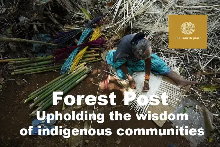 How 'Forest Post' is cocreating lifestyle products from non-timber forest produce by indigenous communities A grassroots initiative that is empowering women indigenous communities by creating better market linkages