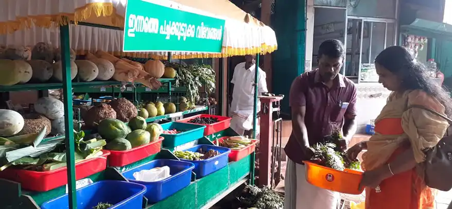 Remember those clay piggy banks that once taught children the value of saving? In Kerala's Thodupuzha in Idukki district, a retired schoolteacher has reimagined this age-old concept with an ingenious twist.
Instead of coins, students are filling their modern-day piggy banks - called "kudukka" in Malayalam - with something far more meaningful: the harvest from their family farms and fresh produce that often goes waste for lack of buyers.
Welcome to Pacha Kudukka - the "green piggy bank" – that is redefining how students view agriculture, and are learning the value of savings as well as self-reliance, while acknowledging the toil of their parents in the fields.