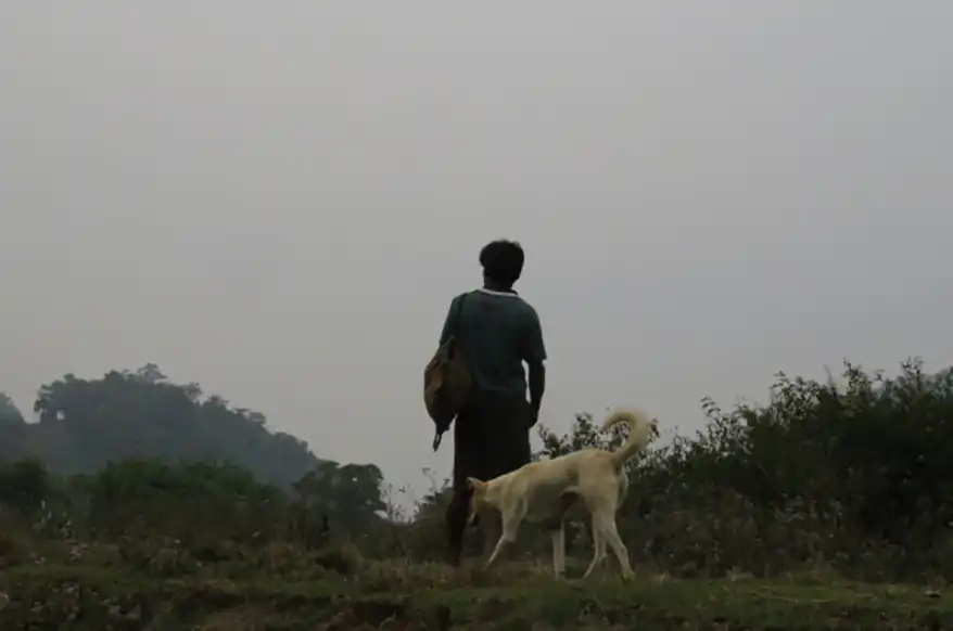 Kerala’s Biodiversity: A Tapestry of Life, Culture, and Community Action