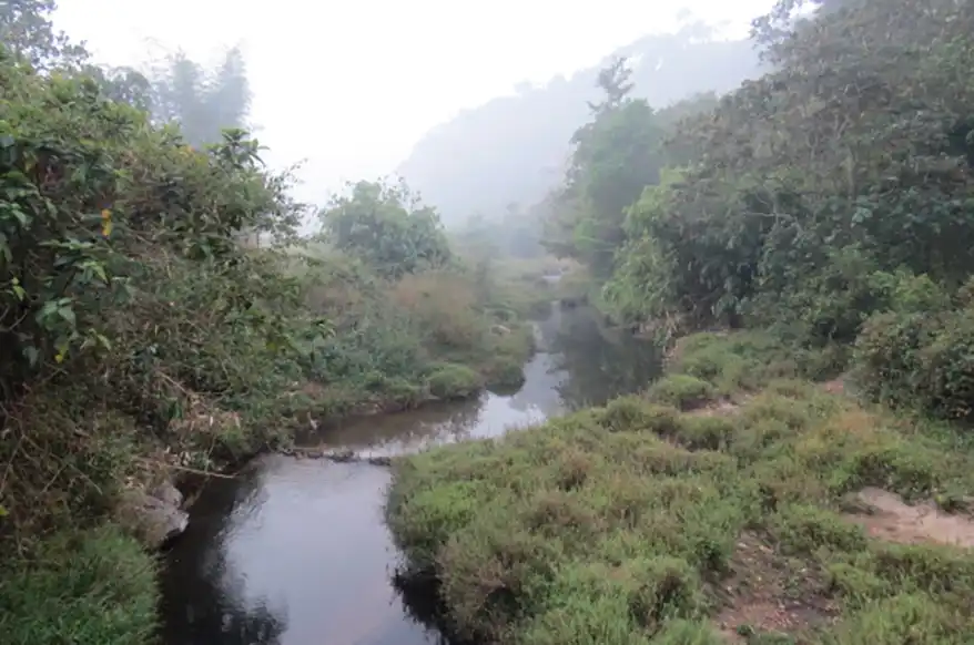 If you’ve ever walked through a misty forest in Kerala, listened to the rhythm of the monsoon on a tiled roof, or tasted a jackfruit curry cooked in a traditional home, you’ve already experienced something very special—biodiversity in action. 