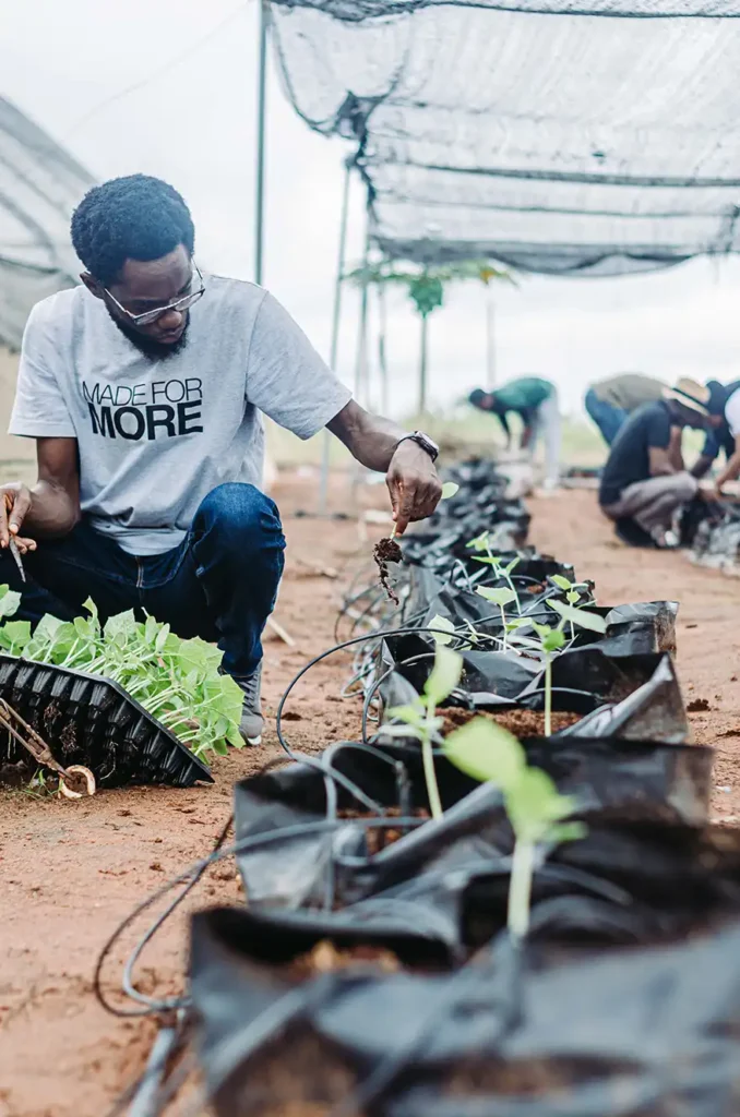 As climate change threatens food security, one innovative farmer in Africa has a radical solution: stop using soil altogether. Samson Ogbole is proving that the future of African agriculture might not be in its earth, but in its air.

Known professionally as Farmer Samson, he leads Soilless Farm Lab in Nigeria, where he's combining artificial intelligence with aeroponic farming to grow food year-round. His approach is challenging fundamental assumptions about how Africa feeds itself.