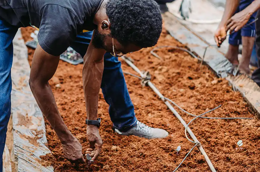 A farmer working in a soilless farming setup, planting seeds in aeroponic systems, with a focus on innovative agricultural practices.