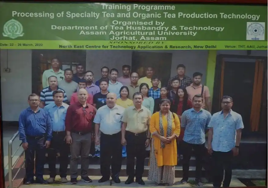 The Sacred Brew: How One Man’s Organic Revolution is Preserving Assam’s Tea Legacy