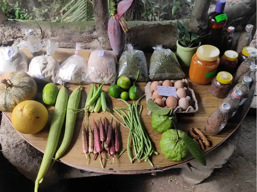 A wooden table displaying a variety of natural farming produce, including fresh vegetables, fruits, eggs, and packaged grains, showcasing the diversity of crops grown at Bhima Kamat farm.