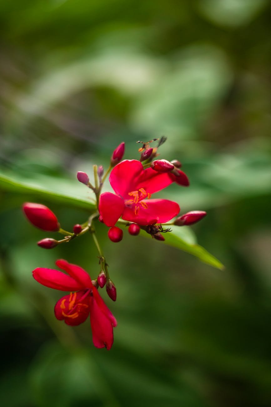 From the mulberry trees to the castor plants, these botanical powerhouses offer more than sustenance for silk production; they provide a rich array of compounds that combat everything from diabetes to cancer. 