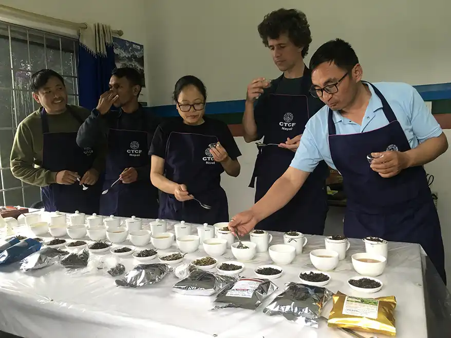 Participants from CTCF Nepal tasting and evaluating different types of tea during a tea tasting session, with tea samples displayed in bowls and packages on the table.