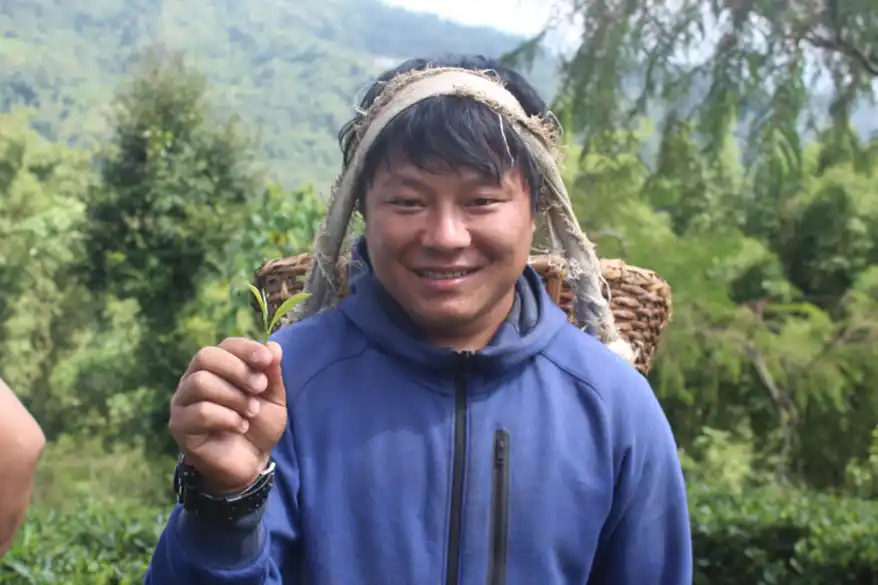 From Hillside to Global Market: How Nepal’s Tea Farmers United to Transform Their Future