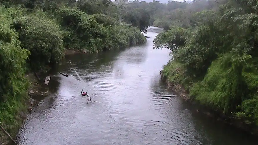 A mandate for enforcement: Over half of Kerala respondents in ‘The Fourth Plate Global Food Systems Survey’ call state’s wetlands law too weak
