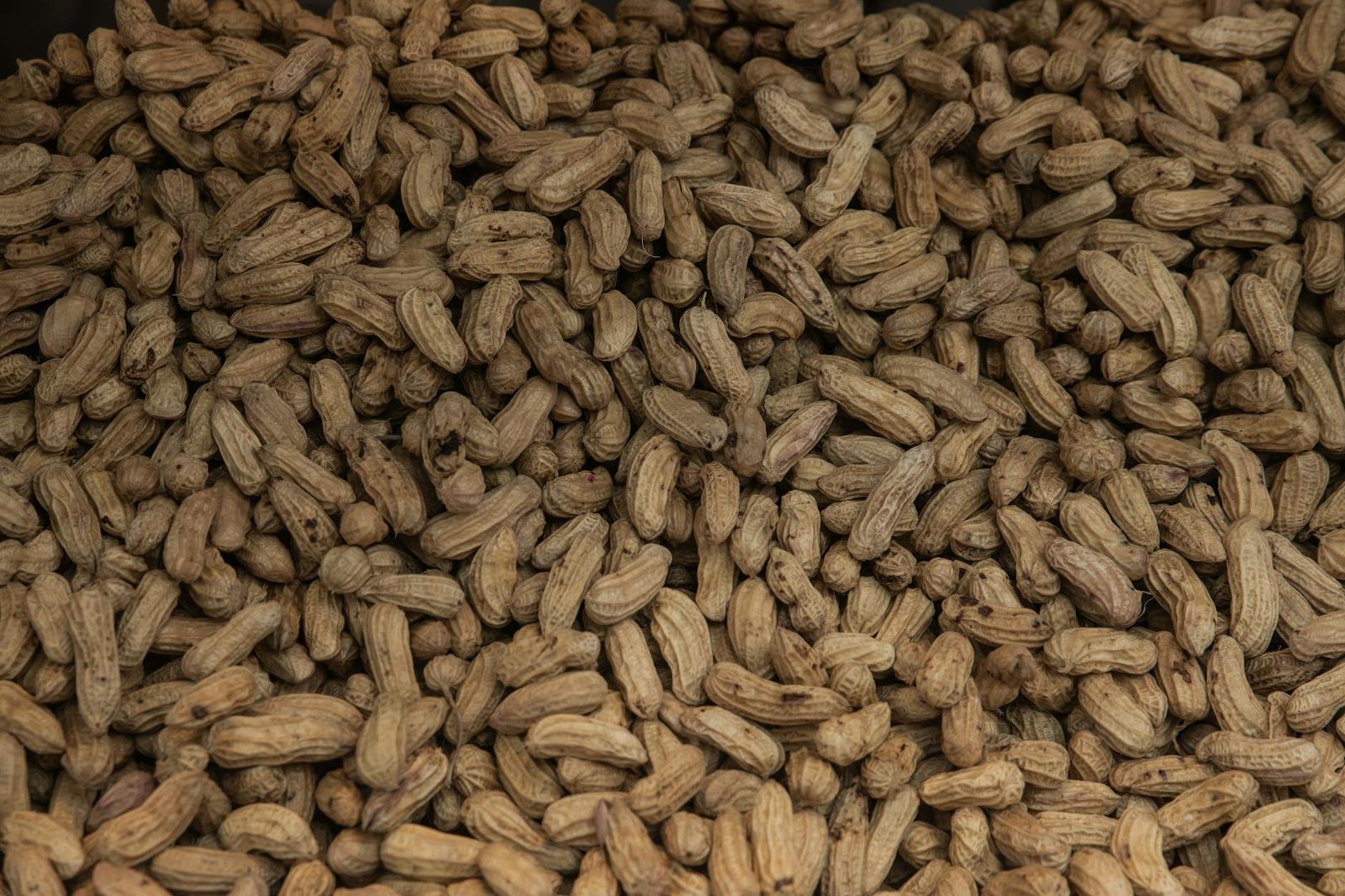 a close up shot of a pile of peanuts