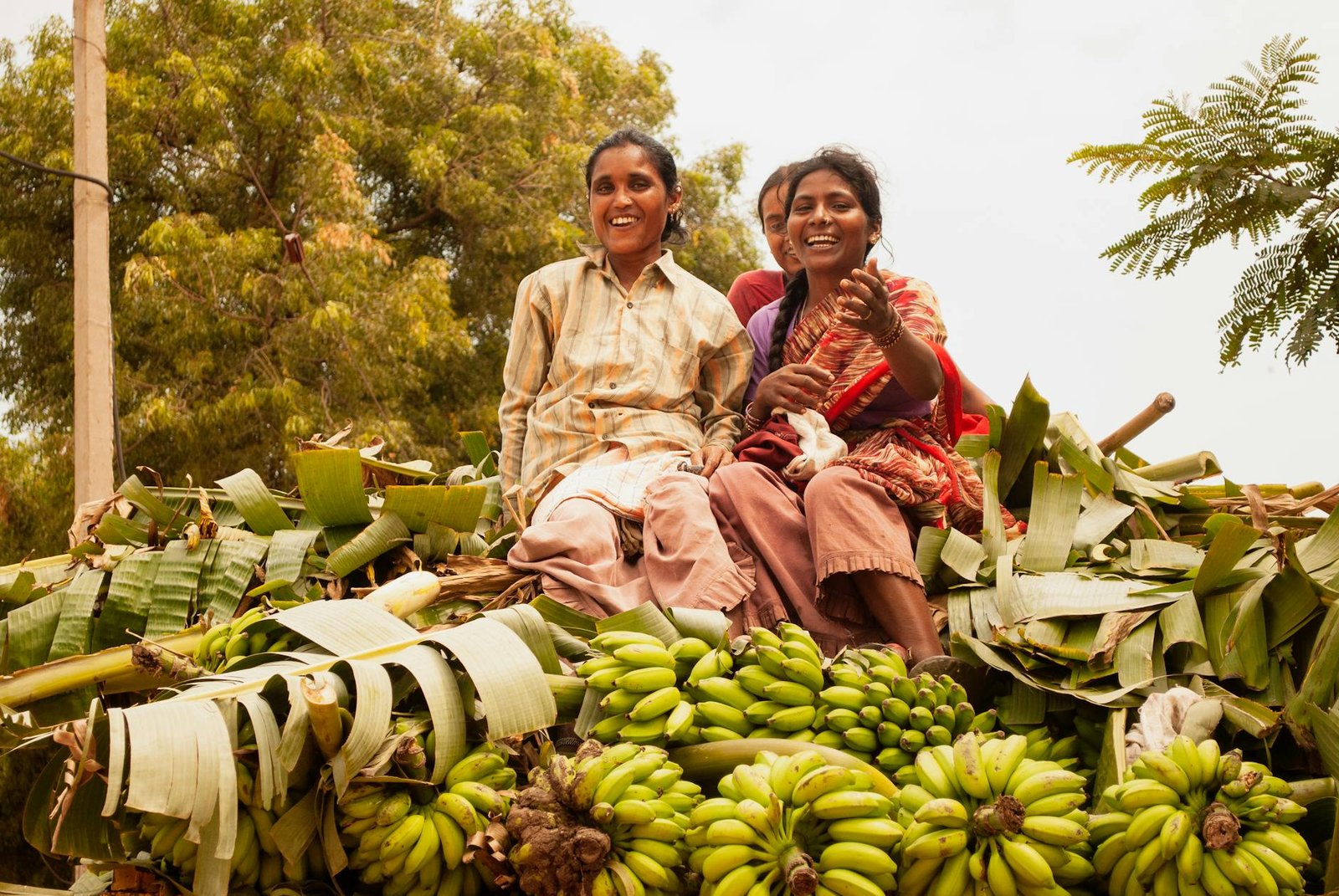 India’s agricultural export sector stands at a difficult crossroads. While the nation strides forward with a ‘Smart India’ vision, its agri-export processes remain stubbornly outdated. This disconnect is more than a bureaucratic failure, and is really the problem statement that the country must address. An exclusive report by The Fourth Plate - The Voice of the Global South