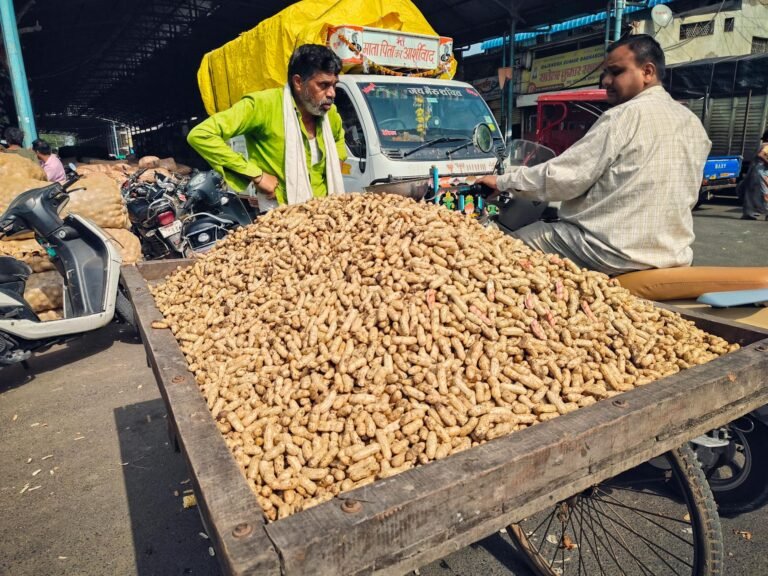 street vendor selling peanuts in indore market