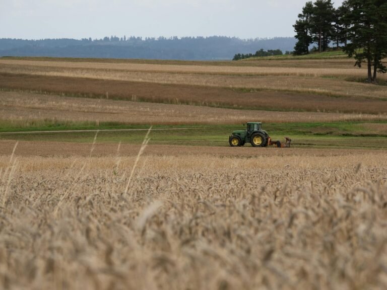 tractor working in austrian wheat field landscape