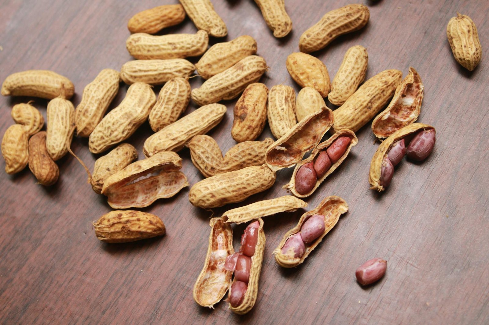 close up of nuts