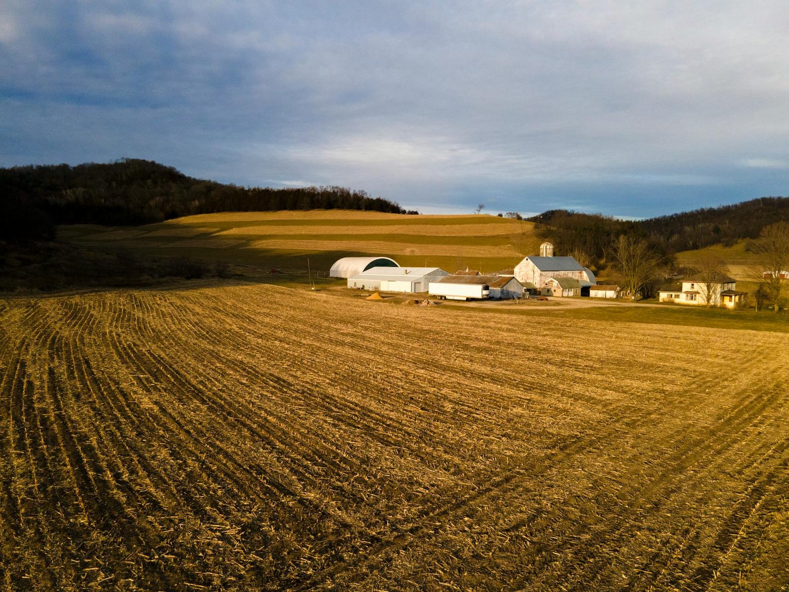 wheat fields in countryside
