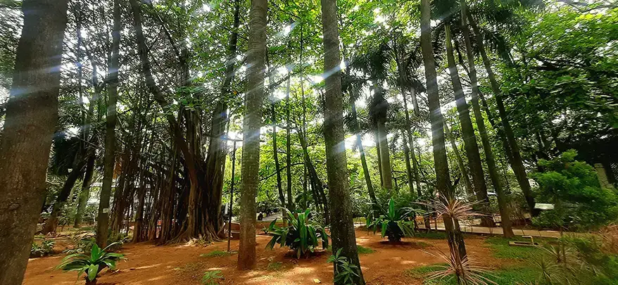 Park Prescriptions: More Than a Walk in the Park