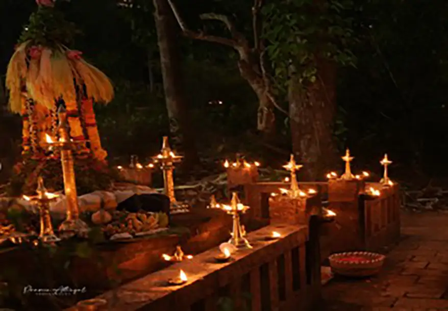 A sacred grove at night, adorned with traditional lamps, featuring a decorated serpent idol surrounded by offerings in a serene forest setting.