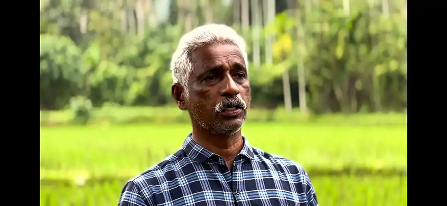 A middle-aged man standing in a lush green rice field, wearing a checkered shirt, with trees in the background.