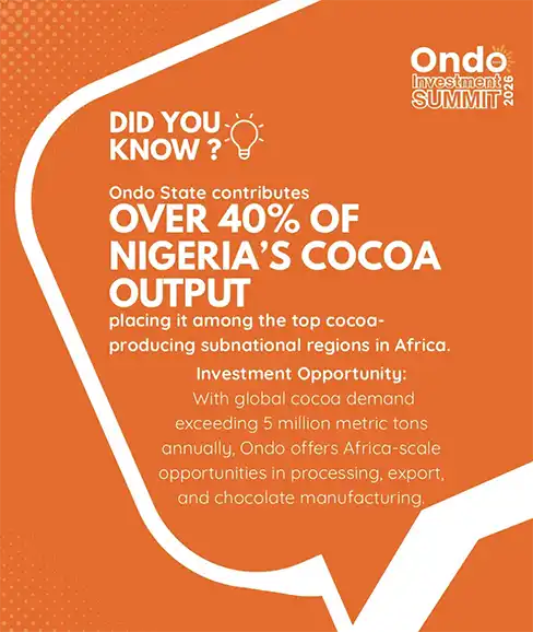 Informative graphic about Ondo State's contribution to Nigeria's cocoa output, highlighting that it contributes over 40% and is a top cocoa-producing region in Africa, with investment opportunities in processing, export, and chocolate manufacturing.