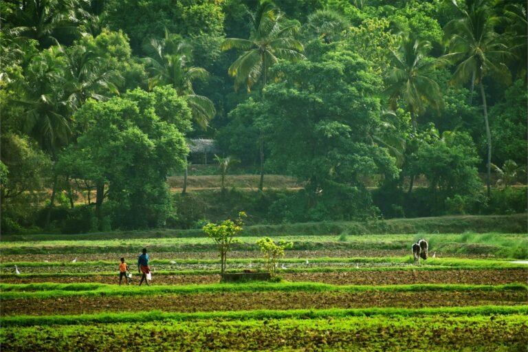 people walking on a plantation