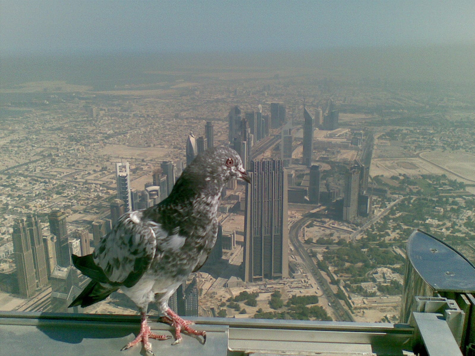 Kullunna Babu: An Open Letter to Shri Mani Shankar Aiyar and Dr. Shashi Tharoor